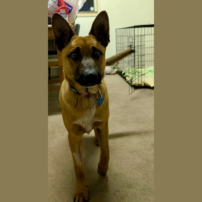 Photo of Huey