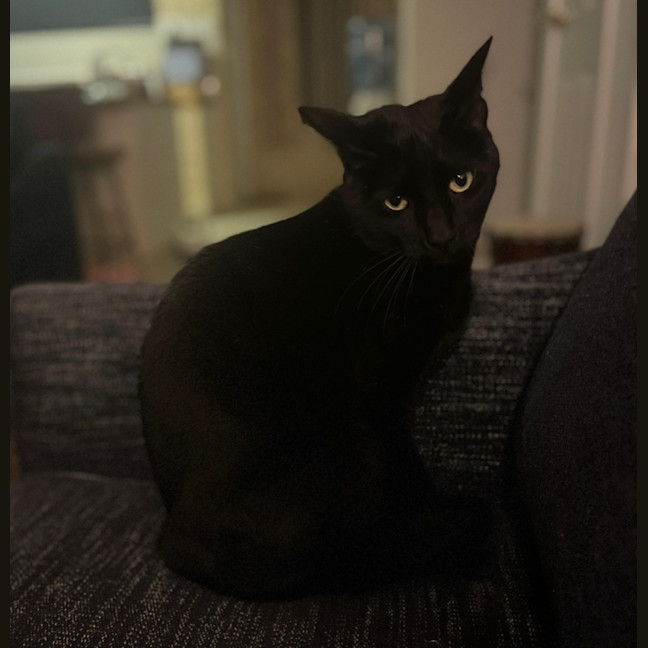 Photo of Hansel