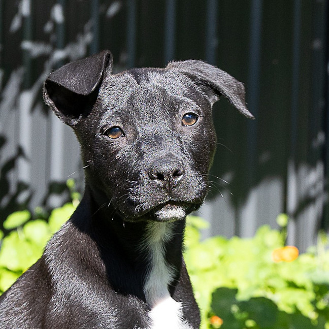 Photo of Lumen