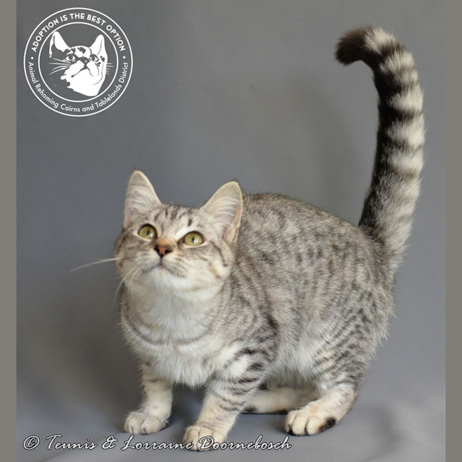 Photo of Twinkletoez