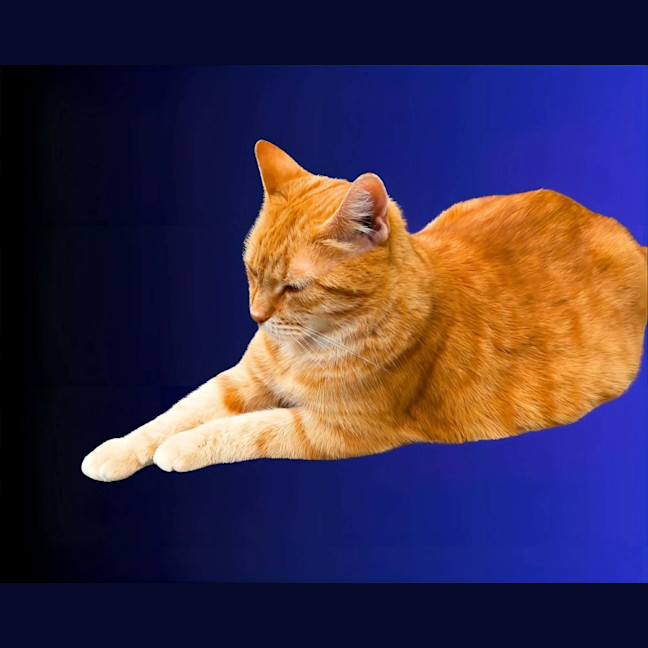 Photo of Meggsy