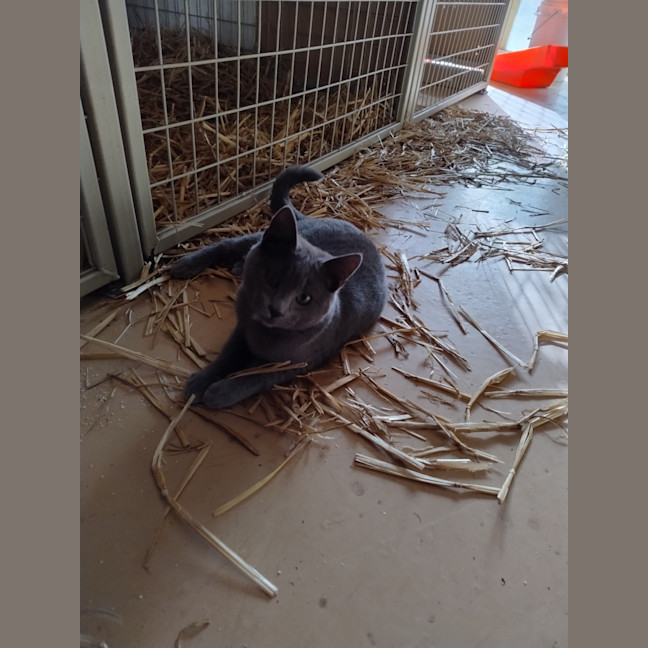 Photo of Storm And Blizzard