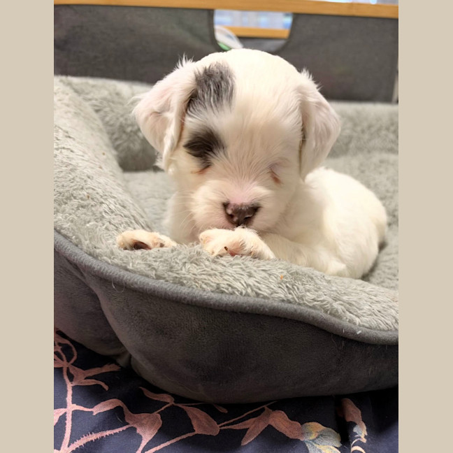 Photo of Yuji