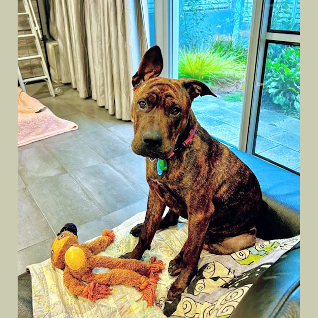 Photo of Coco Chanel