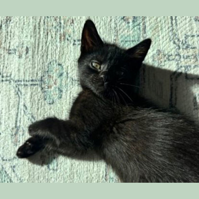 Photo of Cloudy