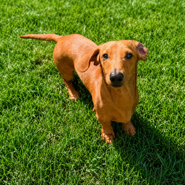 Photo of Eli