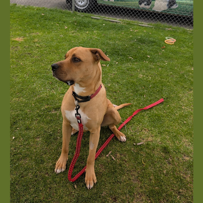 Photo of Reggie