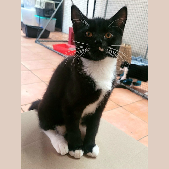 Photo of 💕 Rachel Green 💕