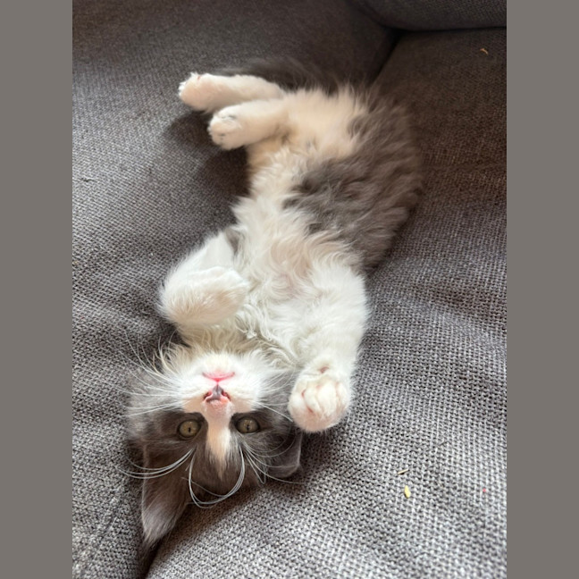 Photo of Geoffrey