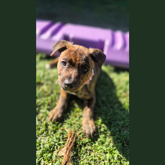 Photo of Sugar