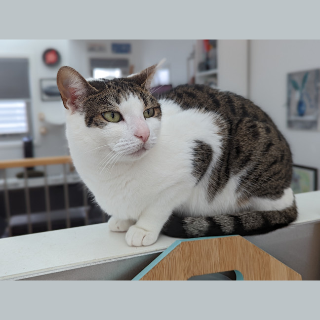 Photo of Tabitha