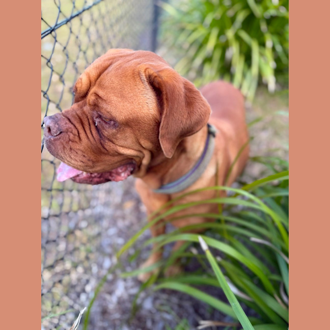 Photo of Lilly (7072)