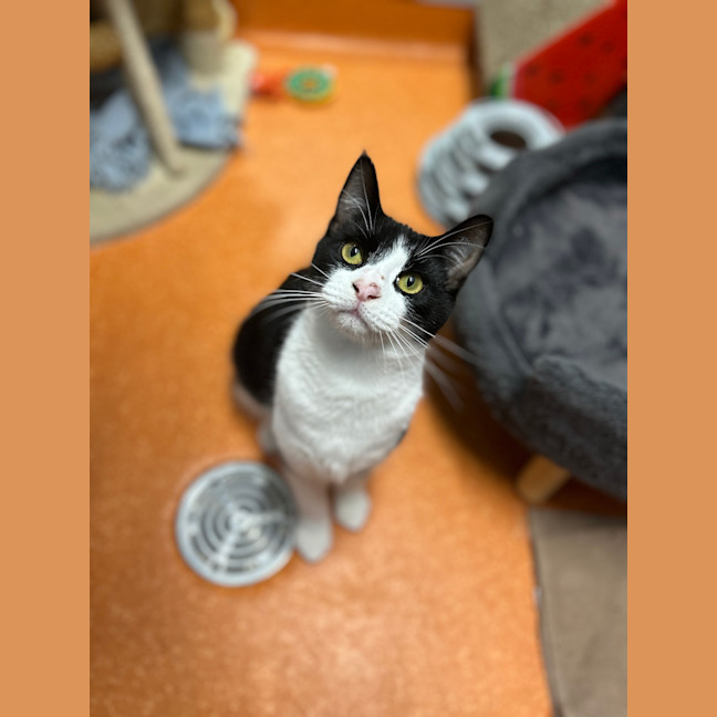 Photo of Frankie