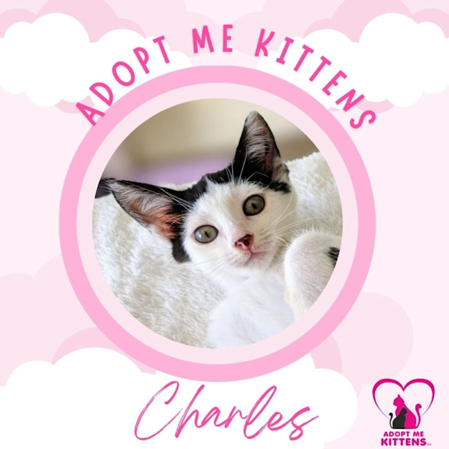 Photo of Charles