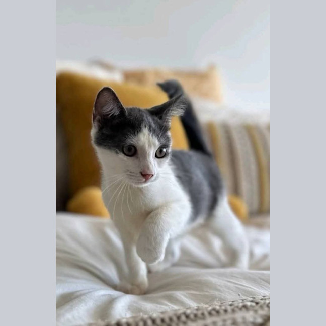 Photo of Remmi