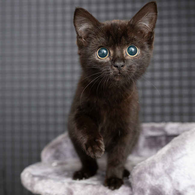 Photo of Wednesday