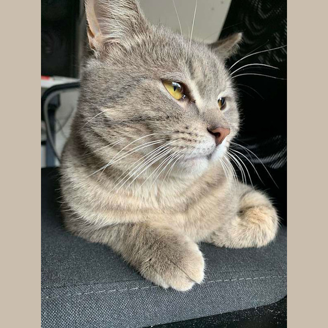 Photo of Eddie