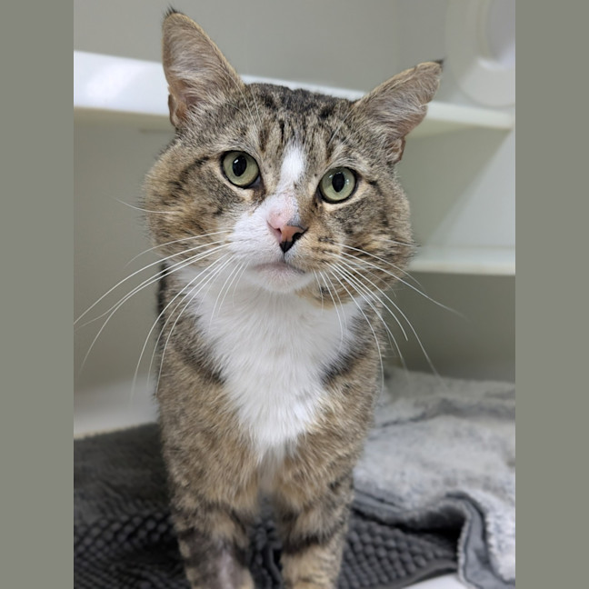 Photo of 😽 Jerome 6752 😽