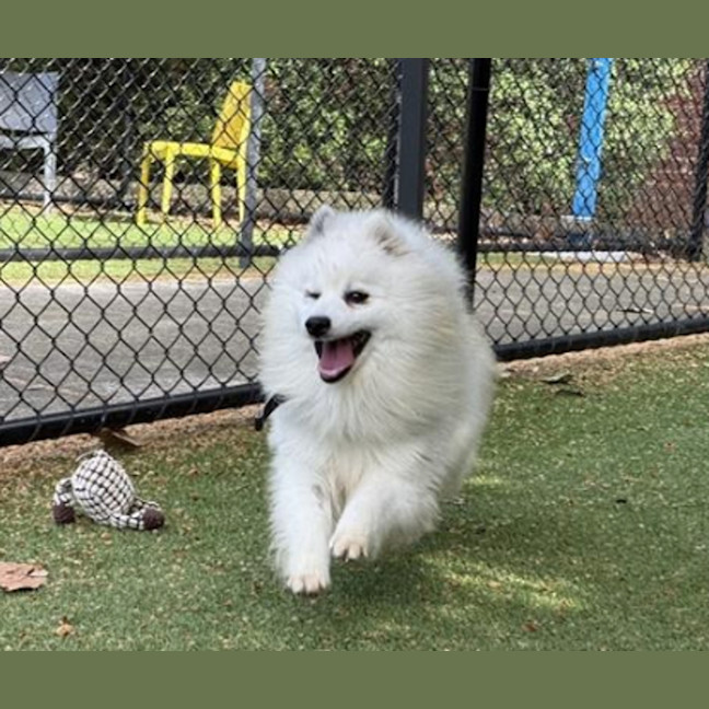 Photo of Powder