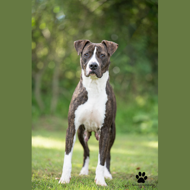Photo of Sally