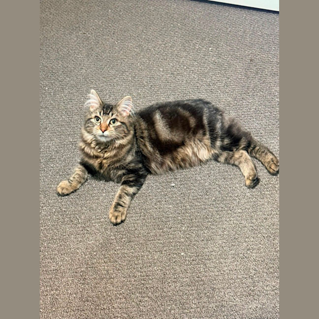 Photo of Goob