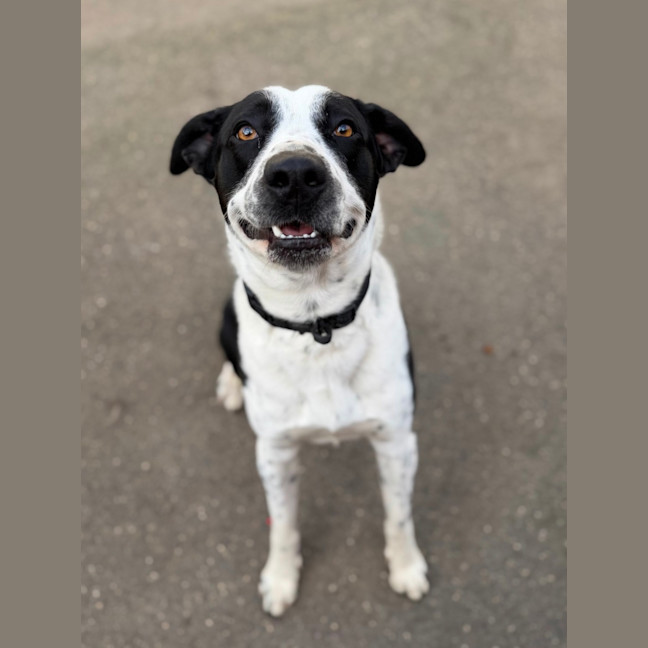 Photo of Turbo