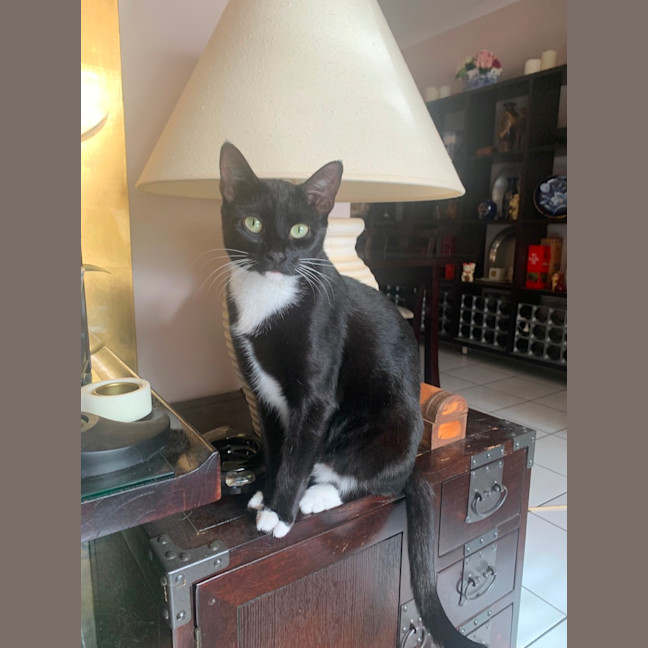 Photo of Minnie 