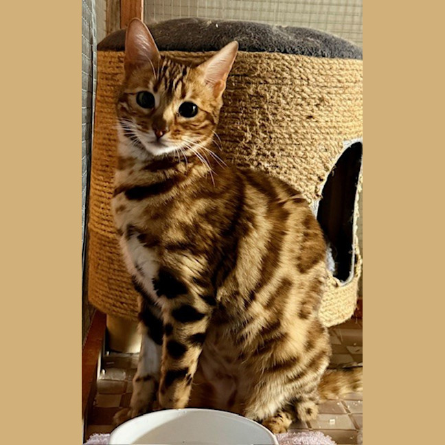 Photo of Lulu