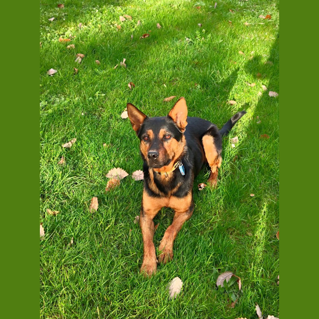 Photo of Tahlee