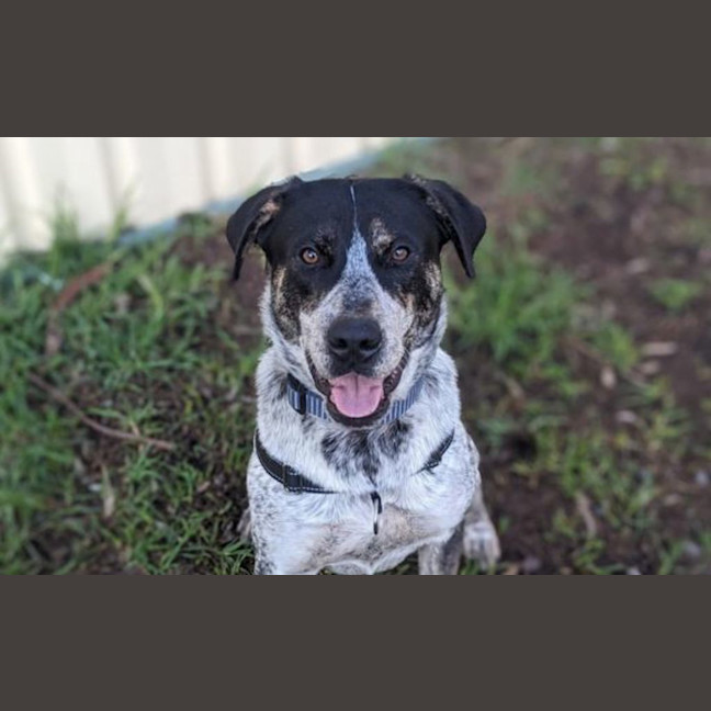 Photo of Dora