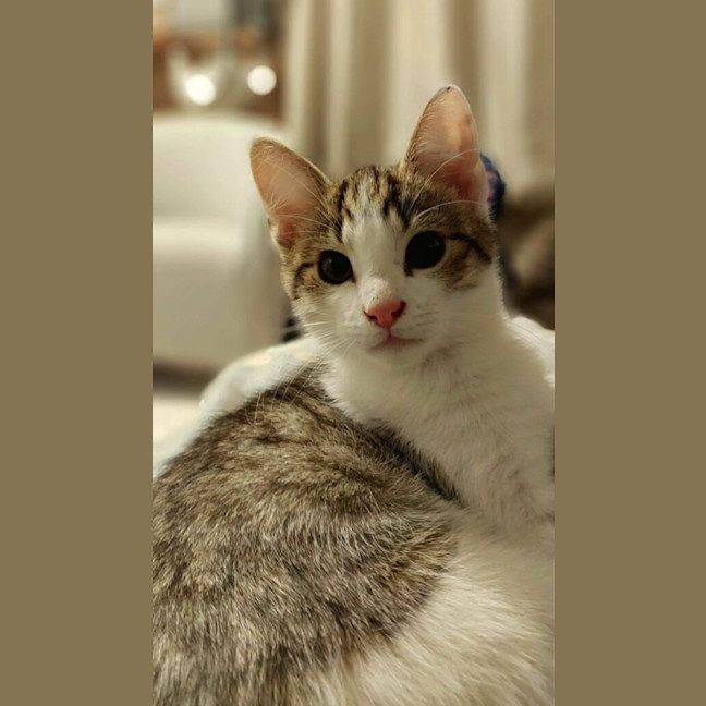 Photo of Keith Urban