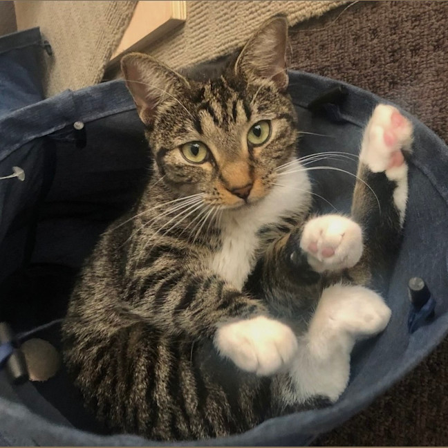 Photo of Tiggy
