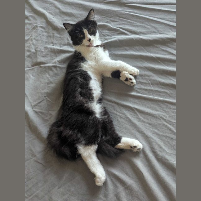 Photo of Nini 