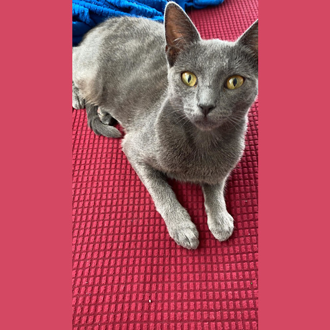Photo of Anya