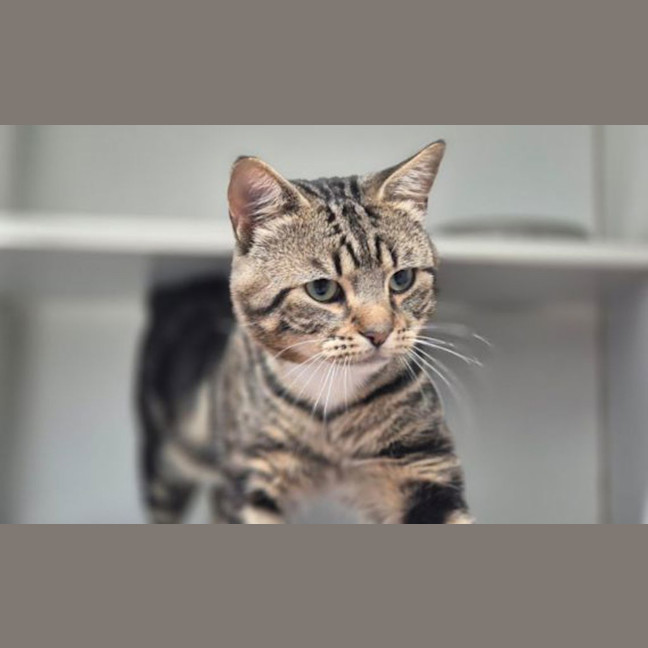 Photo of Dimitri