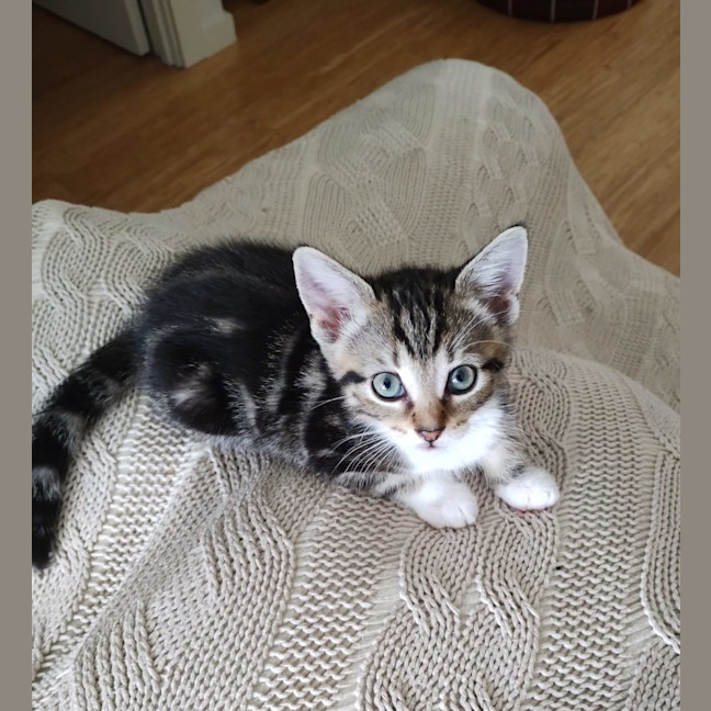 Photo of Stellar And Suki 