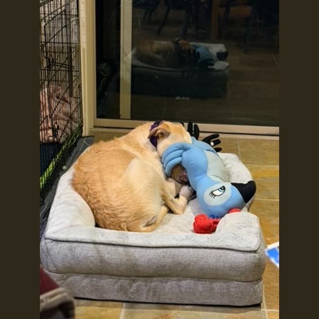 Photo of Dolly Pawton