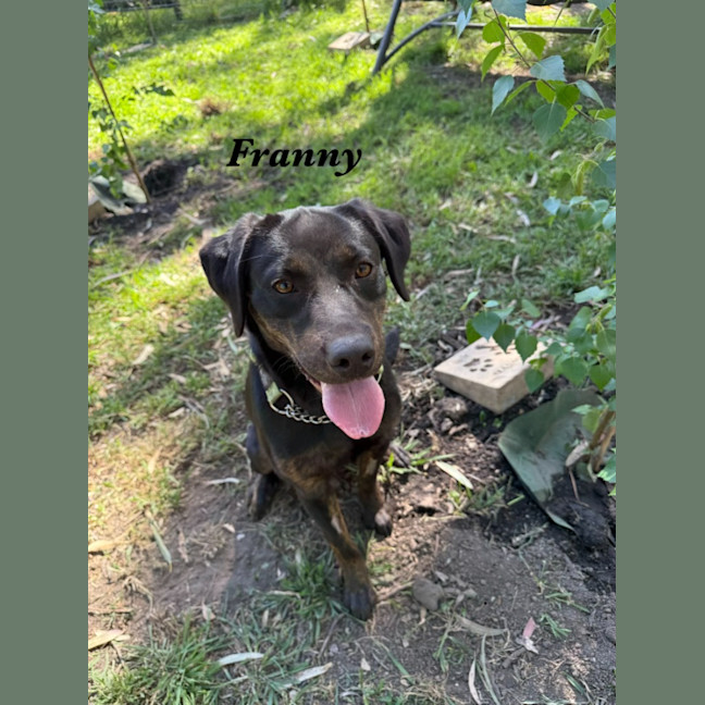 Photo of Franny