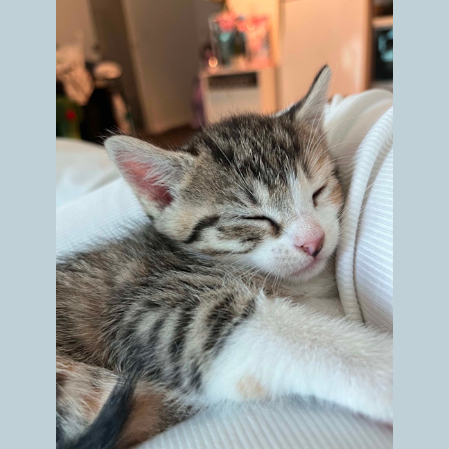 Photo of Rainer 🎄❤️