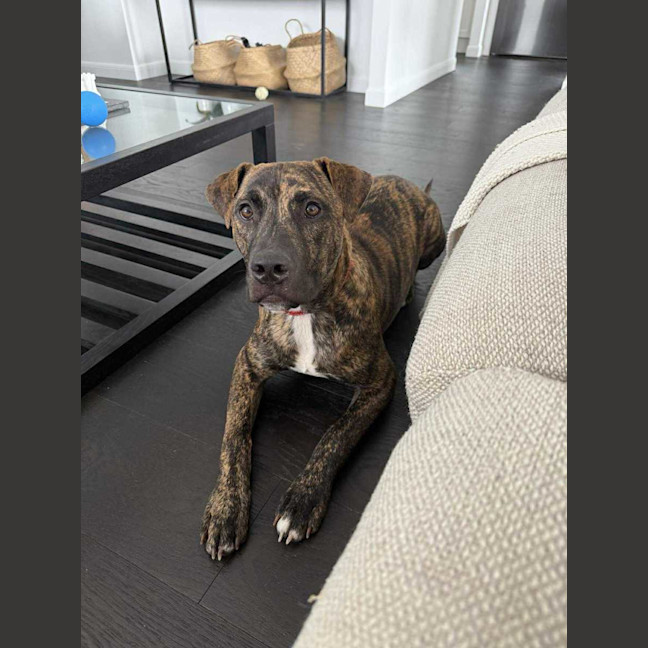 Photo of Benny