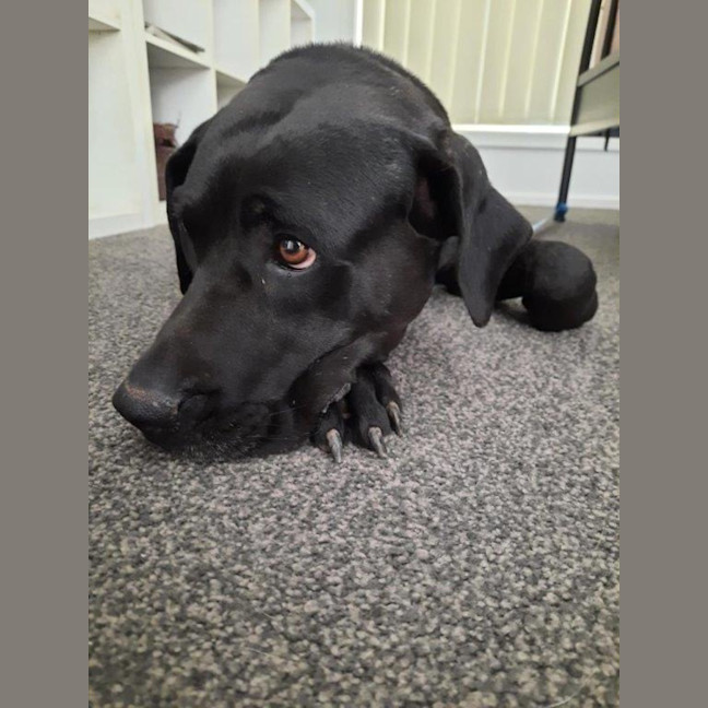 Photo of Stella Lozano