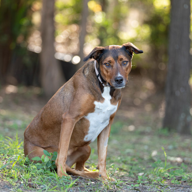 Photo of Carley
