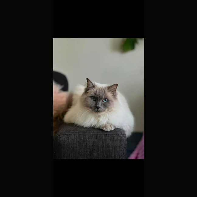 Photo of Missy 
