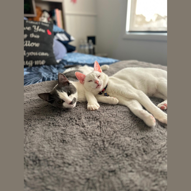 Photo of Casper