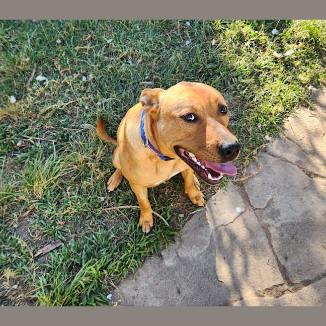 Photo of Buster