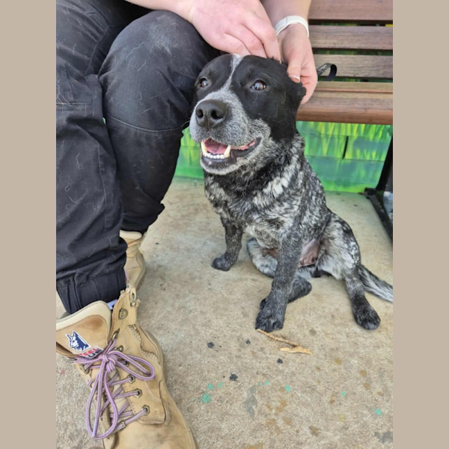 Photo of Snowy! ❄️