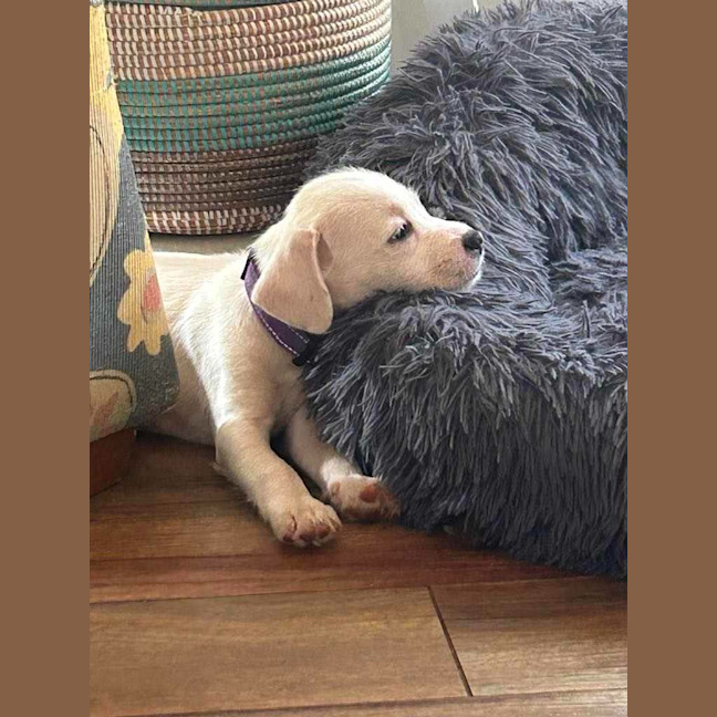 Photo of Lenny