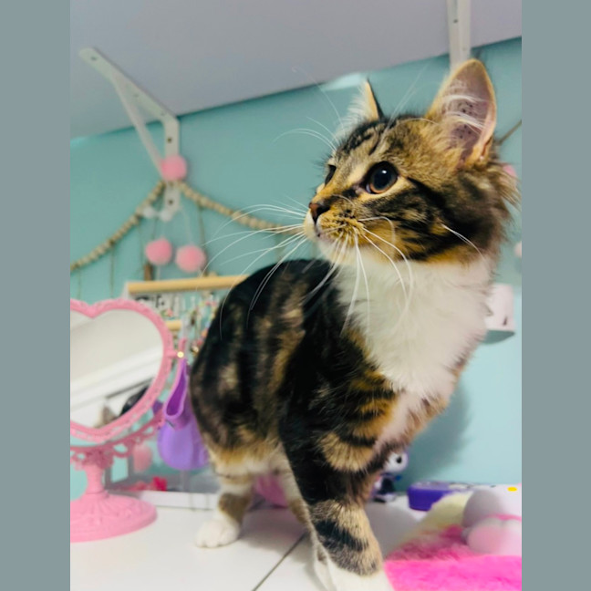 Photo of Morgan   Located In Grantville