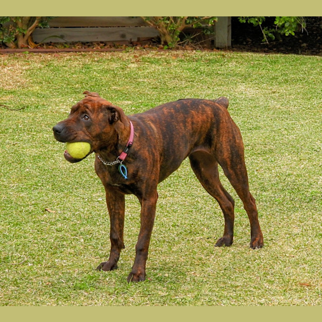 Photo of Coco Chanel