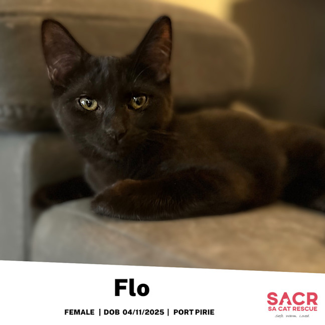 Photo of Flo